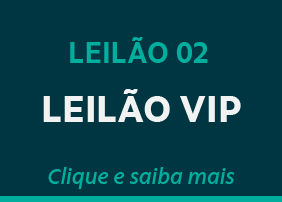 LEILÃO VIP